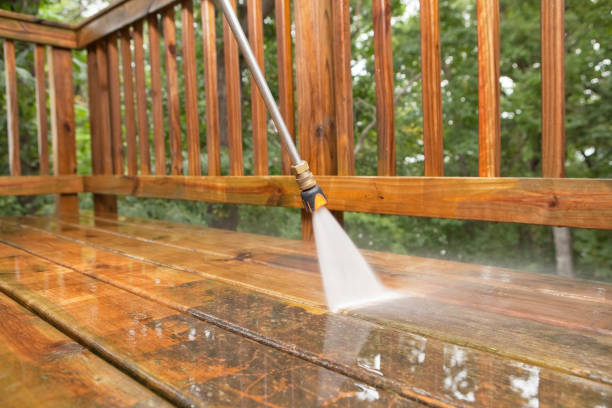 Best Sidewalk and Walkway Cleaning  in Leadwood, MO